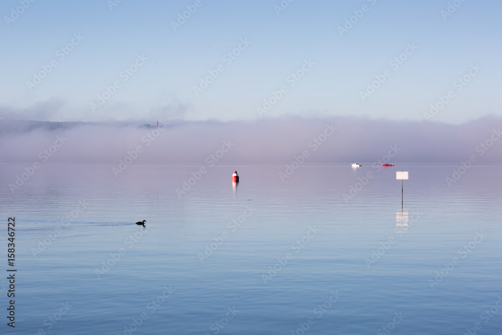 early morning fog colored with pastel shades on a lake with a duck swimming, red-white buoy, boats and an empty plate; a castle tower could be seen on the other shore 