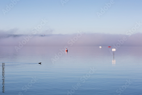 early morning fog colored with pastel shades on a lake with a duck swimming, red-white buoy, boats and an empty plate; a castle tower could be seen on the other shore 