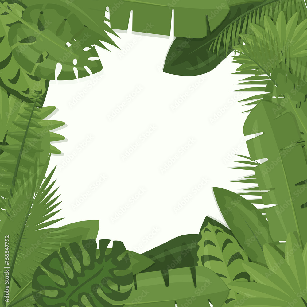 Vector illustration of tropical green leaves of palm, jungle leaves,  philodendron framing white background in cartoon flat style. Stock Vector |  Adobe Stock
