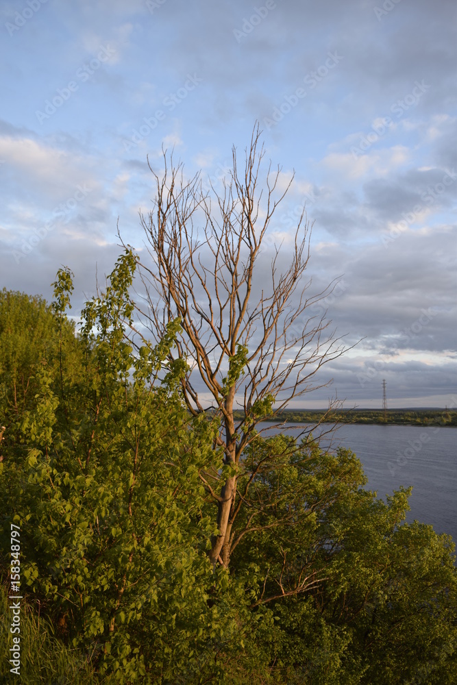 Obraz premium закат