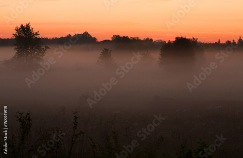 Foggy, spring dawn over the meadows