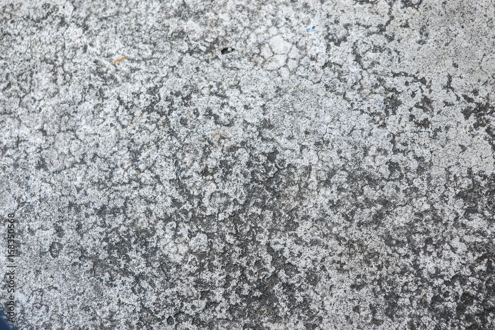 Cement floor in garden Cement floor in garden