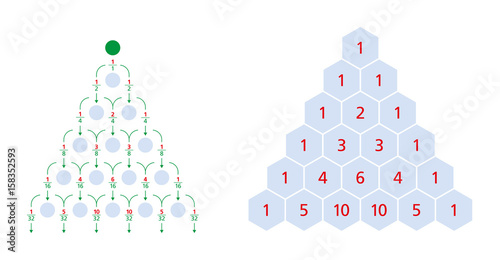 Galton board normal distribution and Pascal's triangle, a triangular array of the binomial coefficients. Each number is the sum of the two directly above. Bean machine, Galton box, quincunx. Vector.