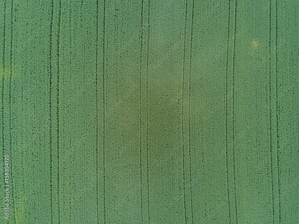 Fototapeta premium Aerial view of agricultural field with traces