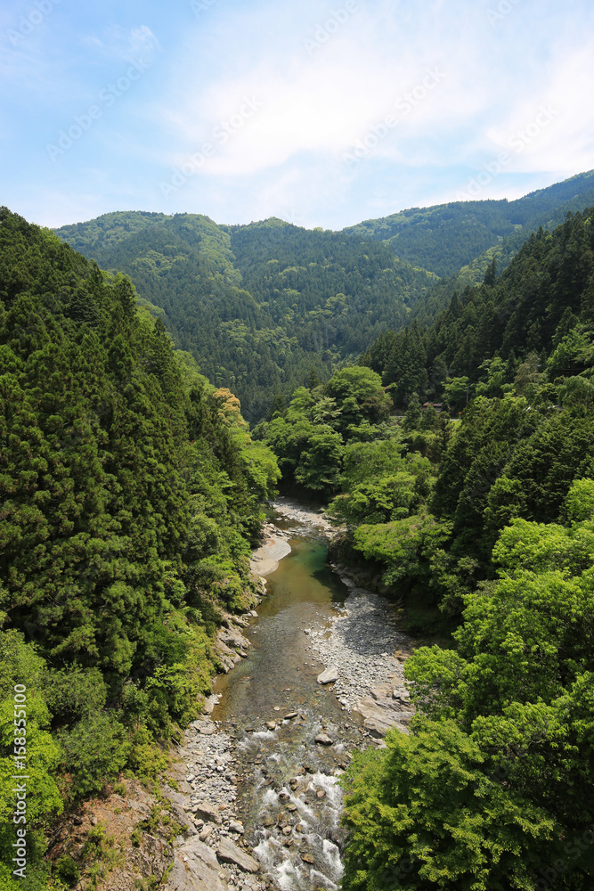 Fototapeta premium 徳島県美馬市 剣峡の風景