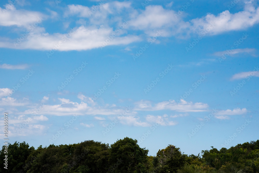 自然　青空