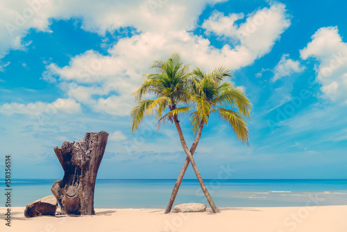 Amezing cross coconut palm trees on beach in blue sky background.