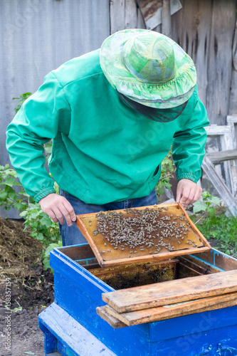 Beekeeper holding a frame of honeycomb with bees © Pavlo