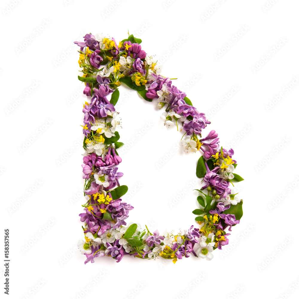The letter «D» made of various natural small flowers..