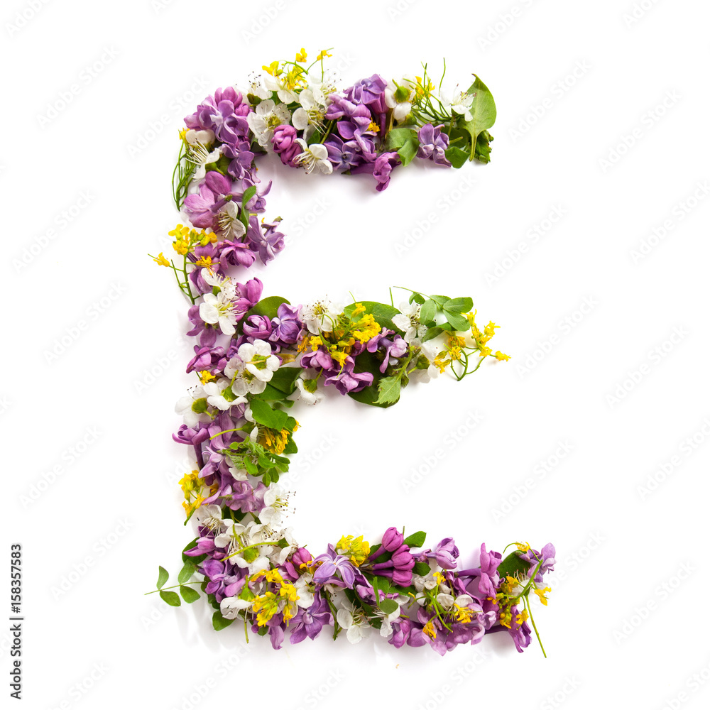 The letter «E» made of various natural small flowers..