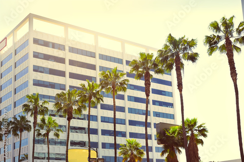 Palms in a row against the background of a multi-storey building in the sunlight on Hollywood Boulevard.Vintage effect