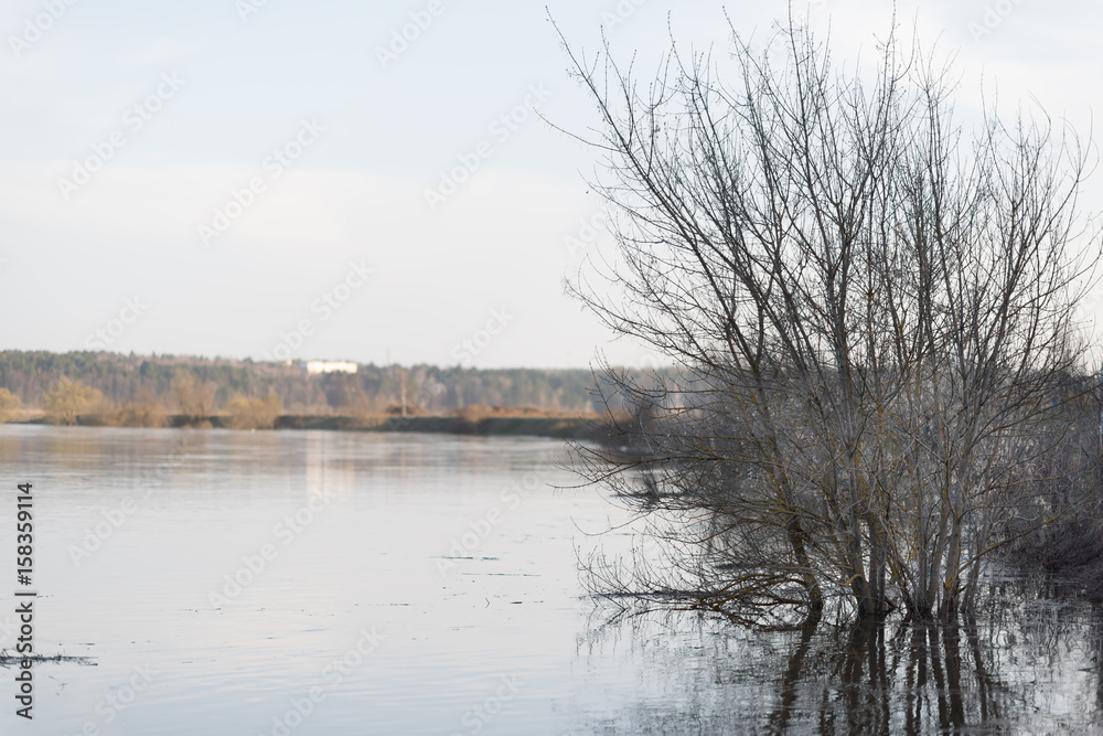 flooded river bank flooded river bank