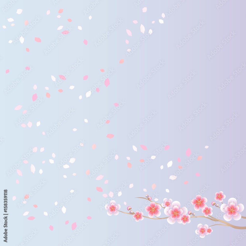 Flower design. Flower background. Branch of Sakura and petals flying isolated on light blue background. Apple-tree flowers. Cherry blossom. Vector
