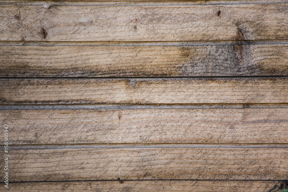 Wood texture Wood texture