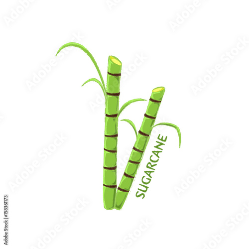 Logo Icon Design Sugarcane Farm