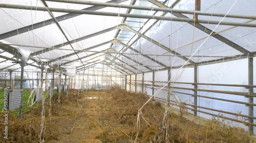 Old industrial abandoned greenhouse