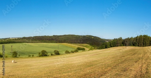 Panorama of a hilly forested landscape near the town of Tisnov in the Czech Republic. A sunny morning in the pasture.