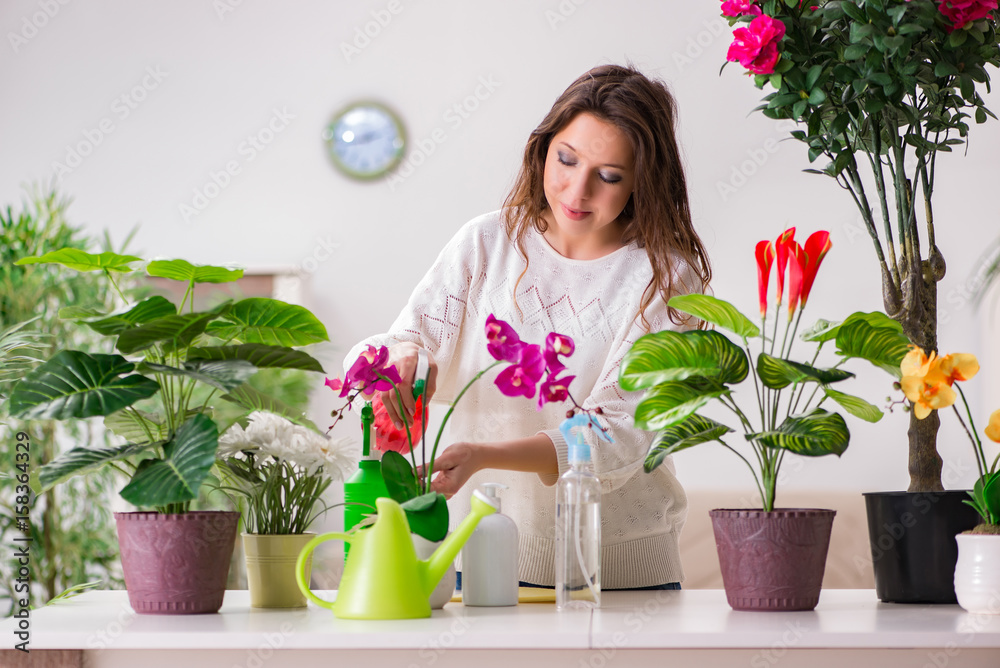 Young woman looking after plants at home Young woman looking after plants at home