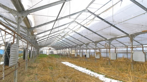 Old industrial abandoned greenhouse
