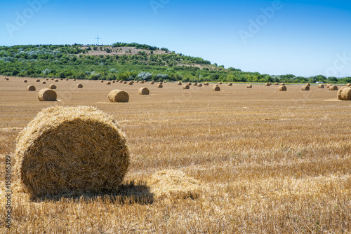 Fresh hay bales on field during summertime