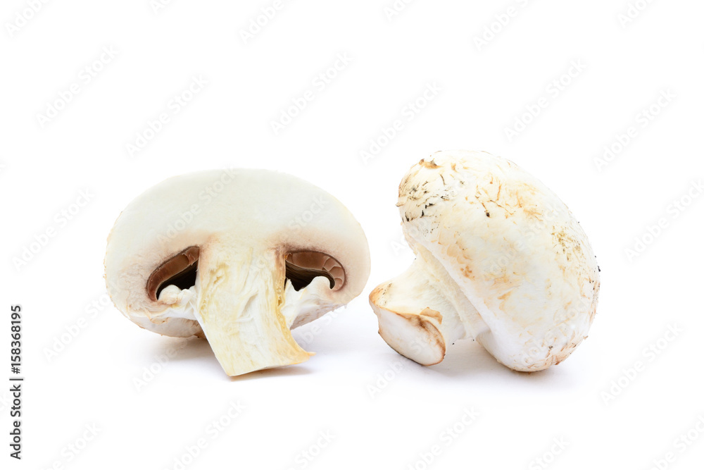 Fresh champignon mushrooms isolated on white background Fresh champignon mushrooms isolated on white background