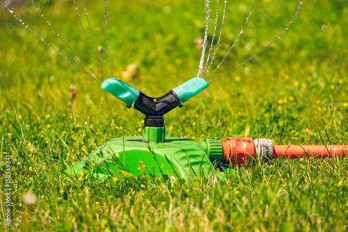 Green lawn in the garden and equipment for watering the garden