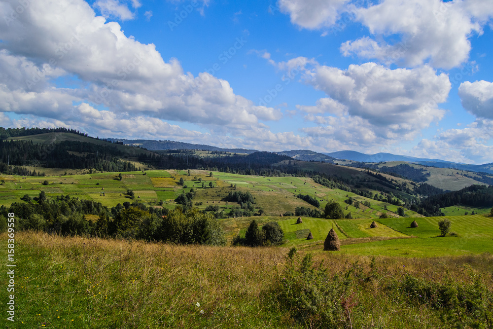 Meadow in the Carpathian