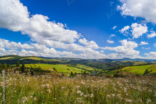 Meadow in the Carpathian