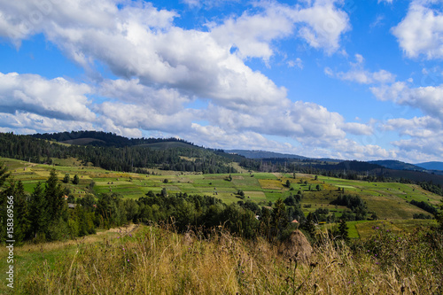 Meadow in the Carpathian