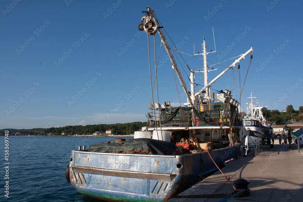 Naklejka premium komarca croacia