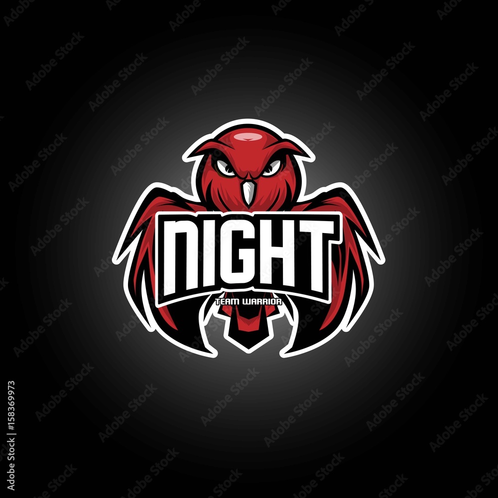 Obraz premium Night Team Warrior