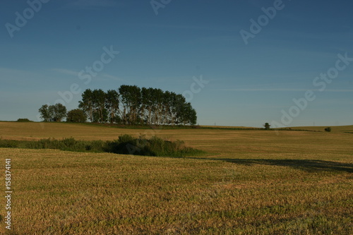 Krajobraz mazurski