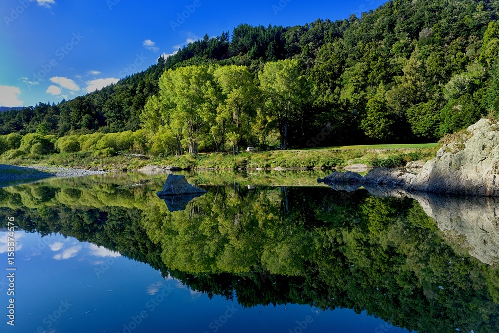 Fototapeta premium Pelorus Bridge