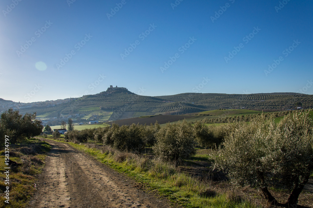 Andalusian landscape with olive trees and a mountain village in the background. Spain on a day in spring