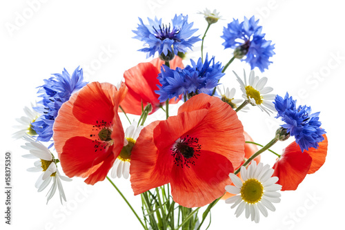 Fototapeta Naklejka Na Ścianę i Meble -  Wildflower bouquet