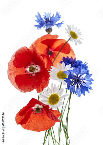 Fototapeta Naklejka Na Ścianę i Meble -  Wildflower arrangement