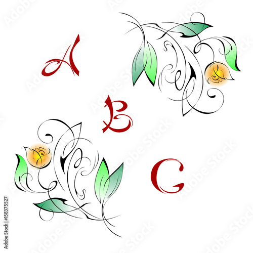 compliment 3. stylized orange flowers on white background with place for text