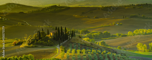 Fototapeta Naklejka Na Ścianę i Meble -  Fairytale, misty morning in the most picturesque part of Tuscany, val de orcia valleys