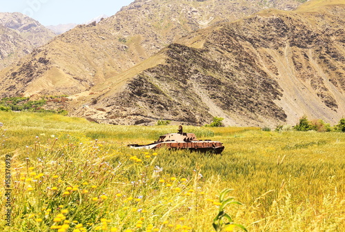 Tank abandoned in a flower field