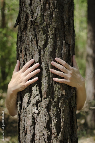 Close-up view of female hands embracing tree trunk in forest
