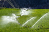 Watering, wheel line sprinkler irrigation