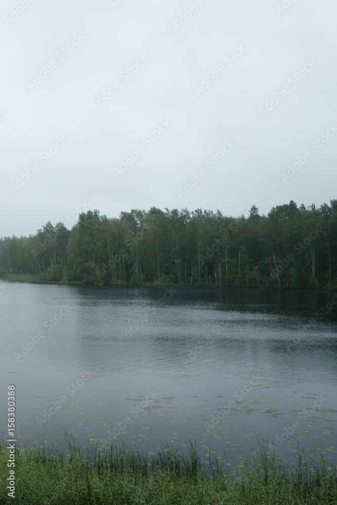 misty morning on scandinavian lake with rain ripples on water, summer season