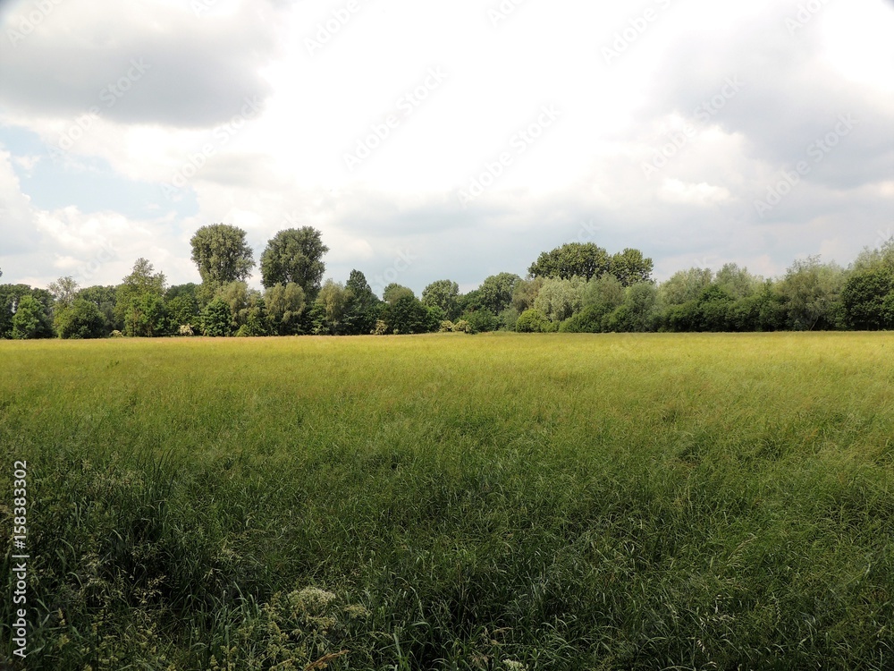 Fototapeta premium Niederrheinisches Auenland
