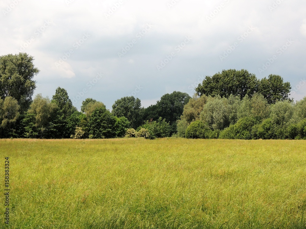Fototapeta premium Niederrheinisches Auenland