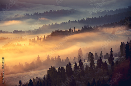 Fototapeta Naklejka Na Ścianę i Meble -  Misty mountain forest landscape in the morning, Poland