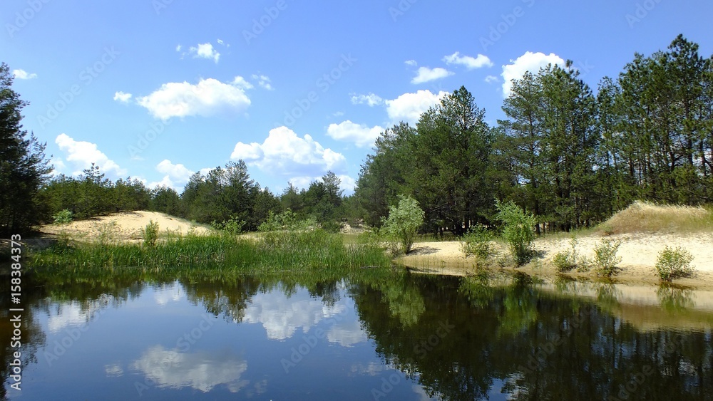 Lake in forest. Dunes & pines