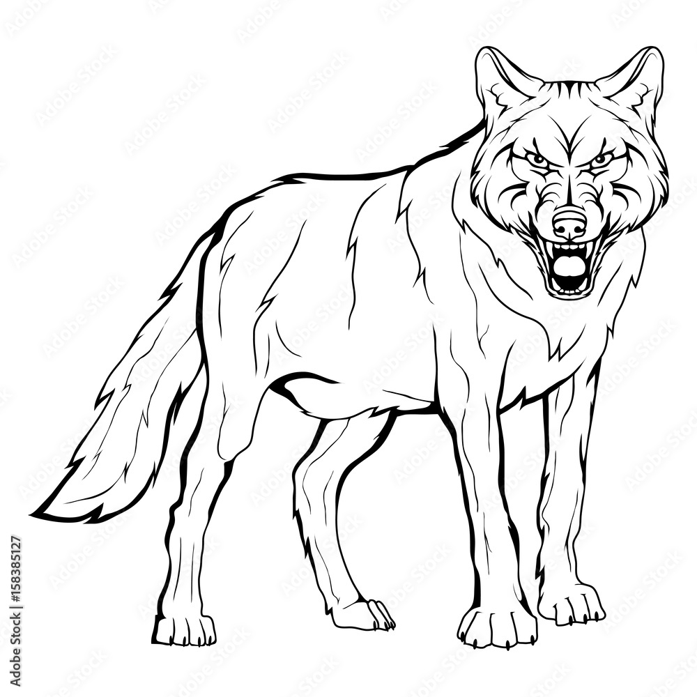 Vector sketch of a wolf. Business sign logotype wolf face. Sketch of a tattoo wolf. Forest predatory beast dangerous wolf