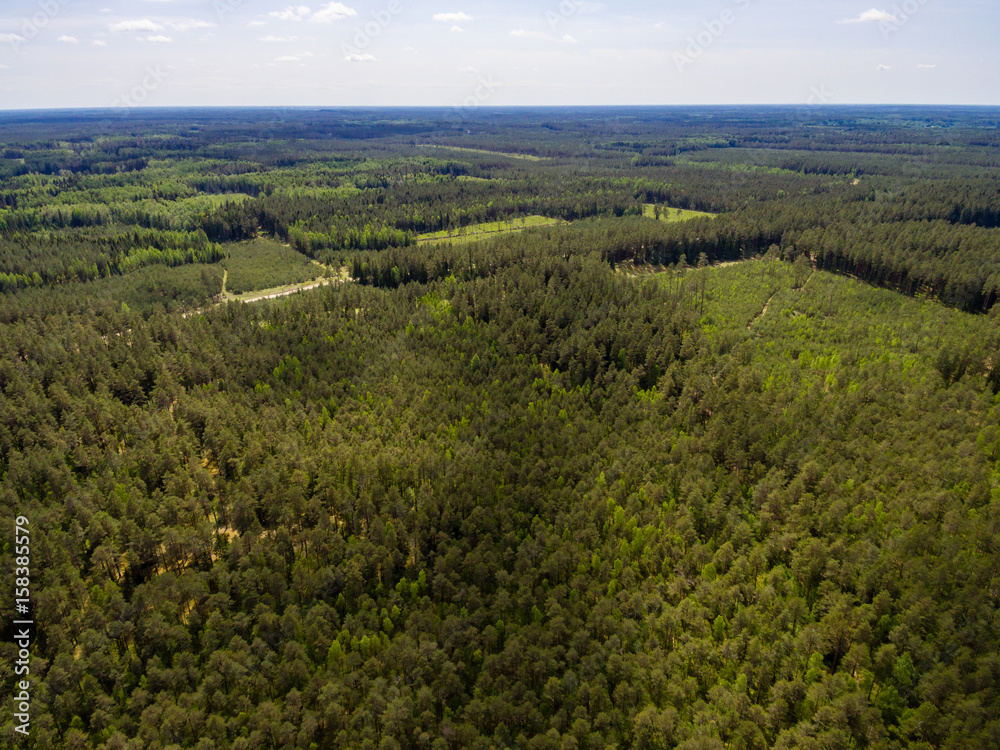 Obraz premium drone image. aerial view of rural area with lake in forest