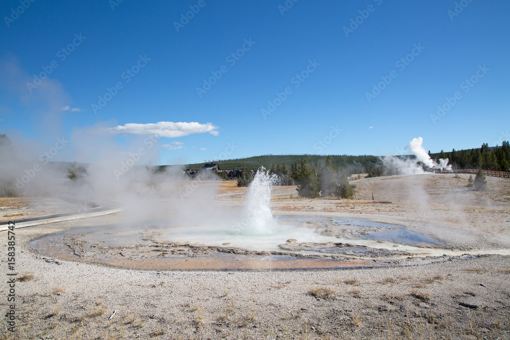 Upper geyser basin Upper geyser basin