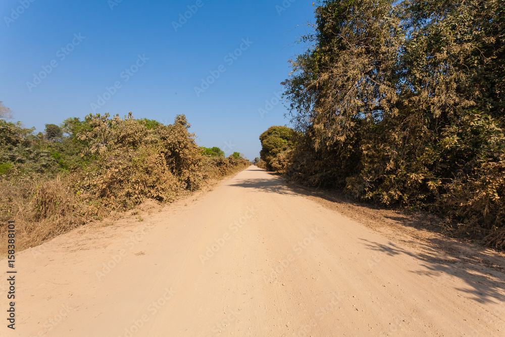 Brazilian dirt road in perspective
